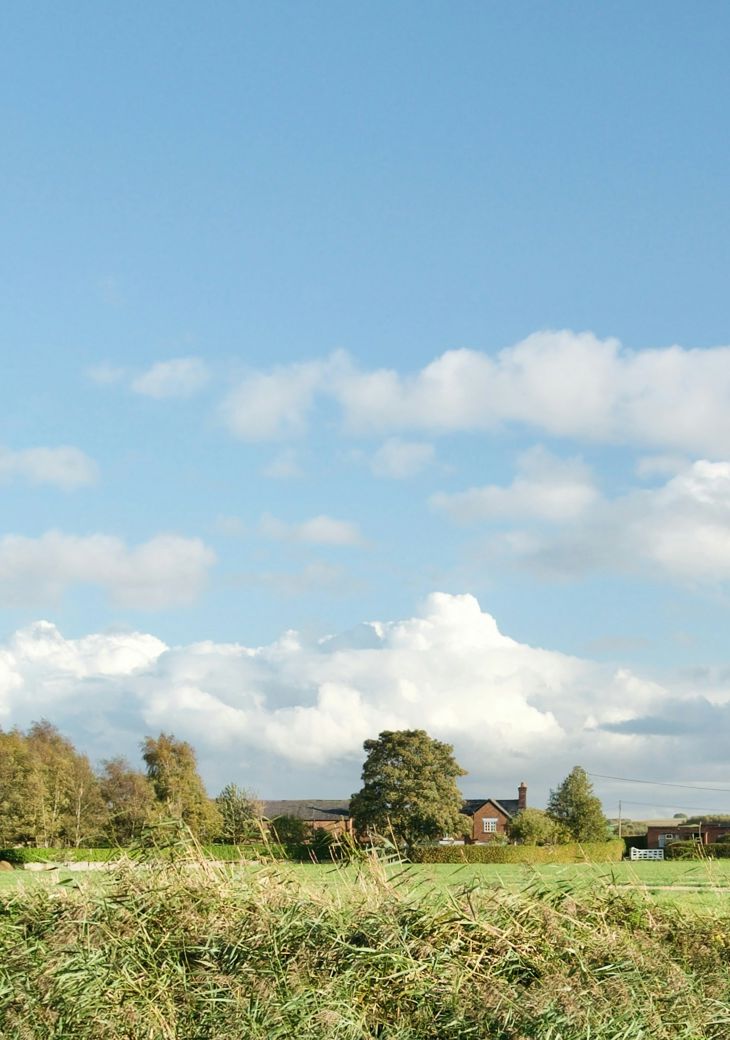 Sandy Wood Xb8pcjgkbvo Unsplash (2)