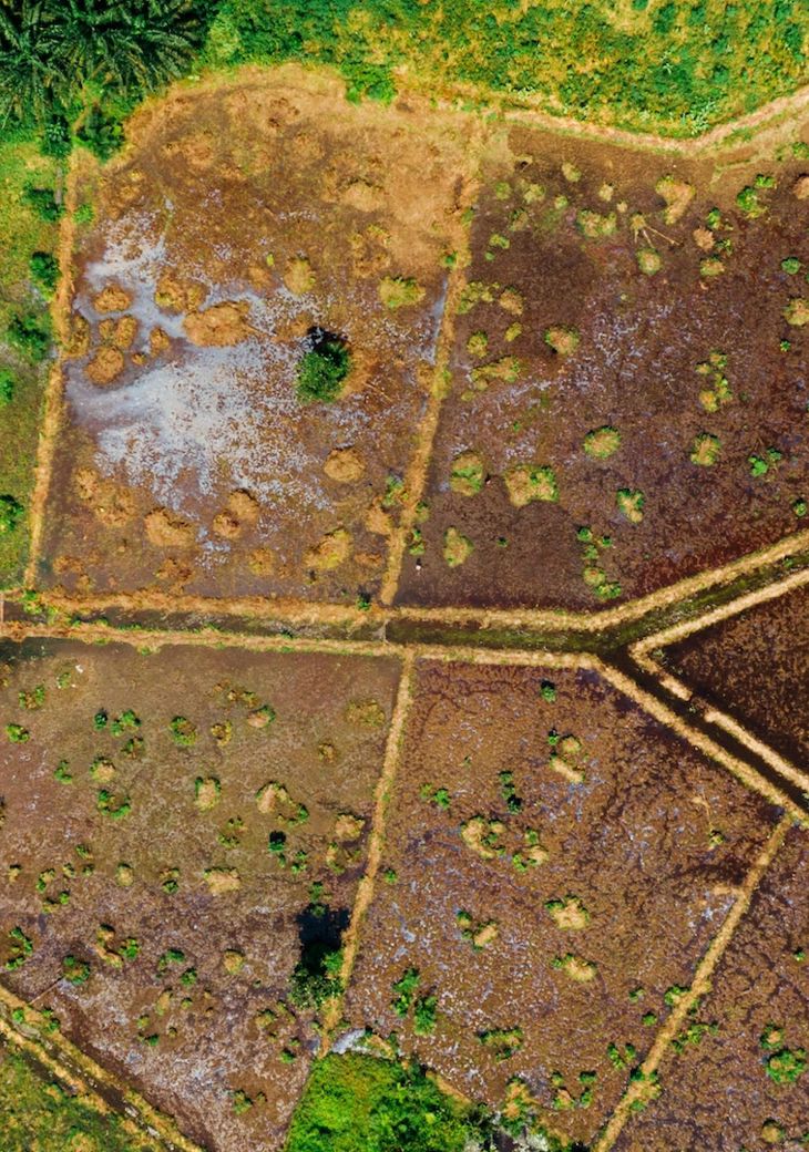 Pexels Kelly 1179532 3030307